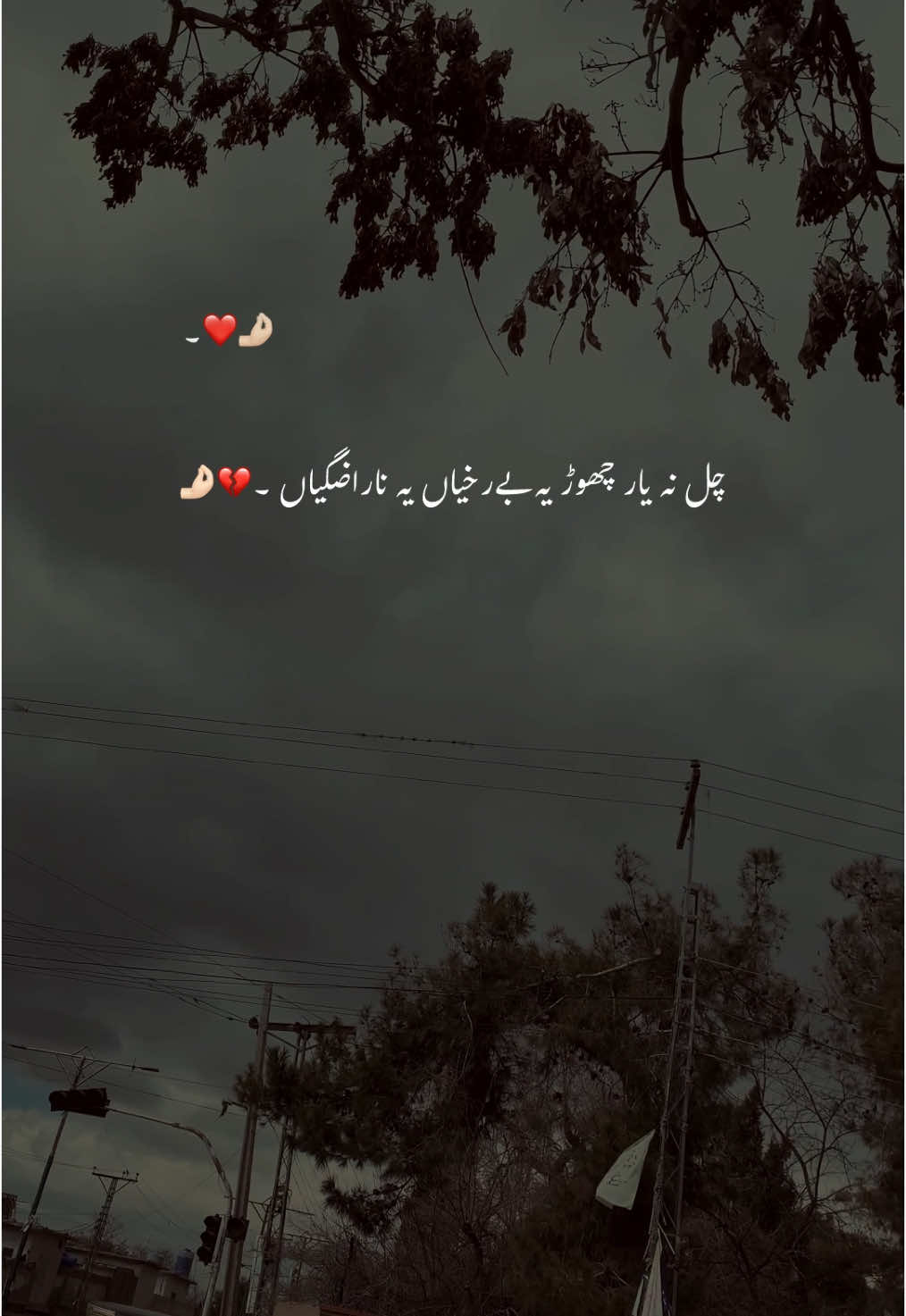 Bichar Jana Hai 🥹🦋💔.  #hehe_akhtar #viral_video #growmyaccount #foryou #forypupage #urdupoetry #treanding #aesthetics #1millionaudition 