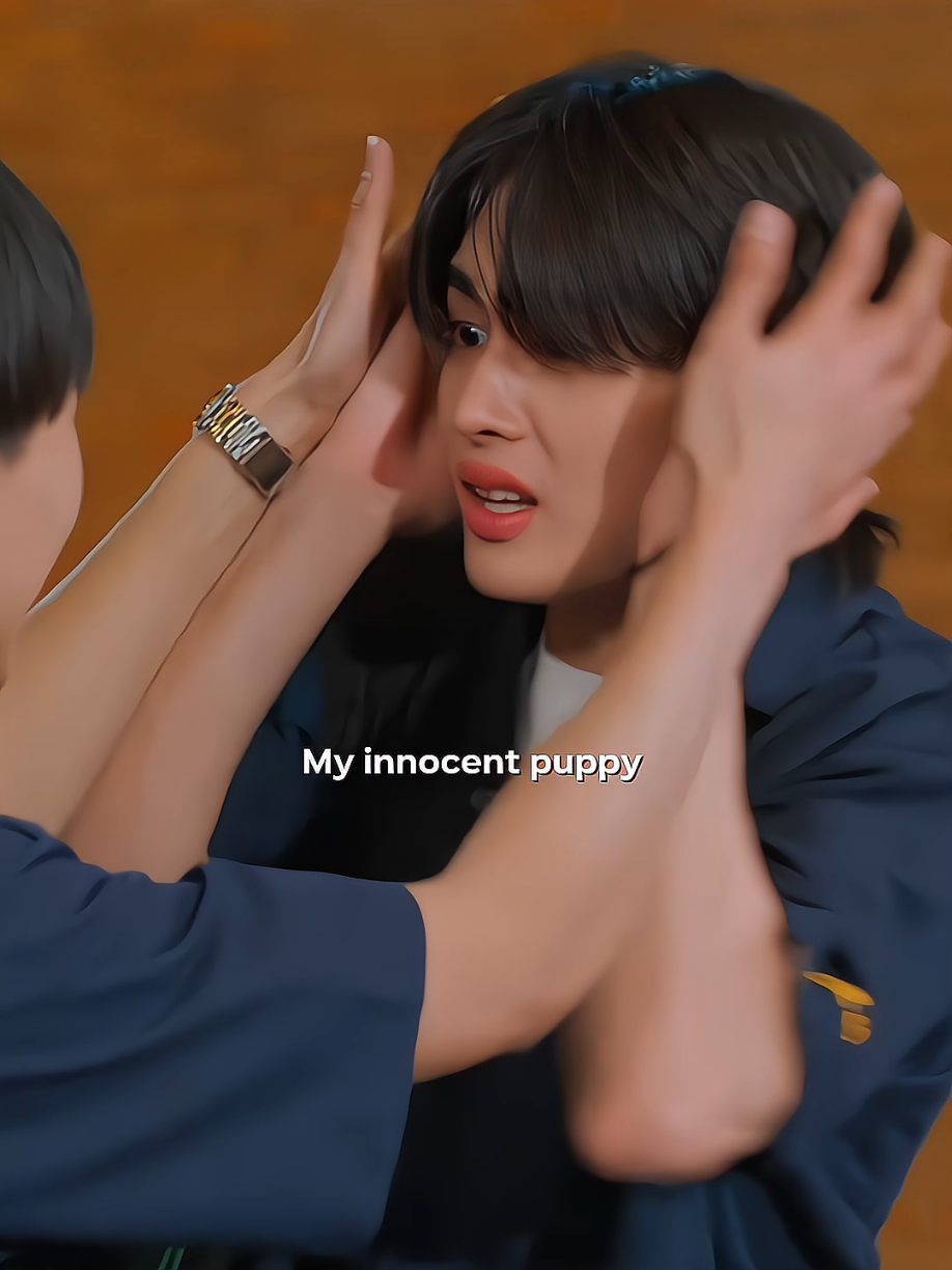 [Perfect 10 Liners] the innocent puppy is not innocent anymore 😂 #junniorrs #perthtanapon #santapp #juniormark #perthsanta #perfect10liners #foryou #foryoupage #fyp 