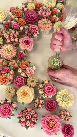 Flowers you can eat 🌸 . #cake #cupcakes #flowers #flowercupcakes #floralcupcakes #buttercreamflowers #piping #cupcakedecorating #cakevideo #cupcakeicing #pipingbuttercream #fyp #petalsbakehouse 