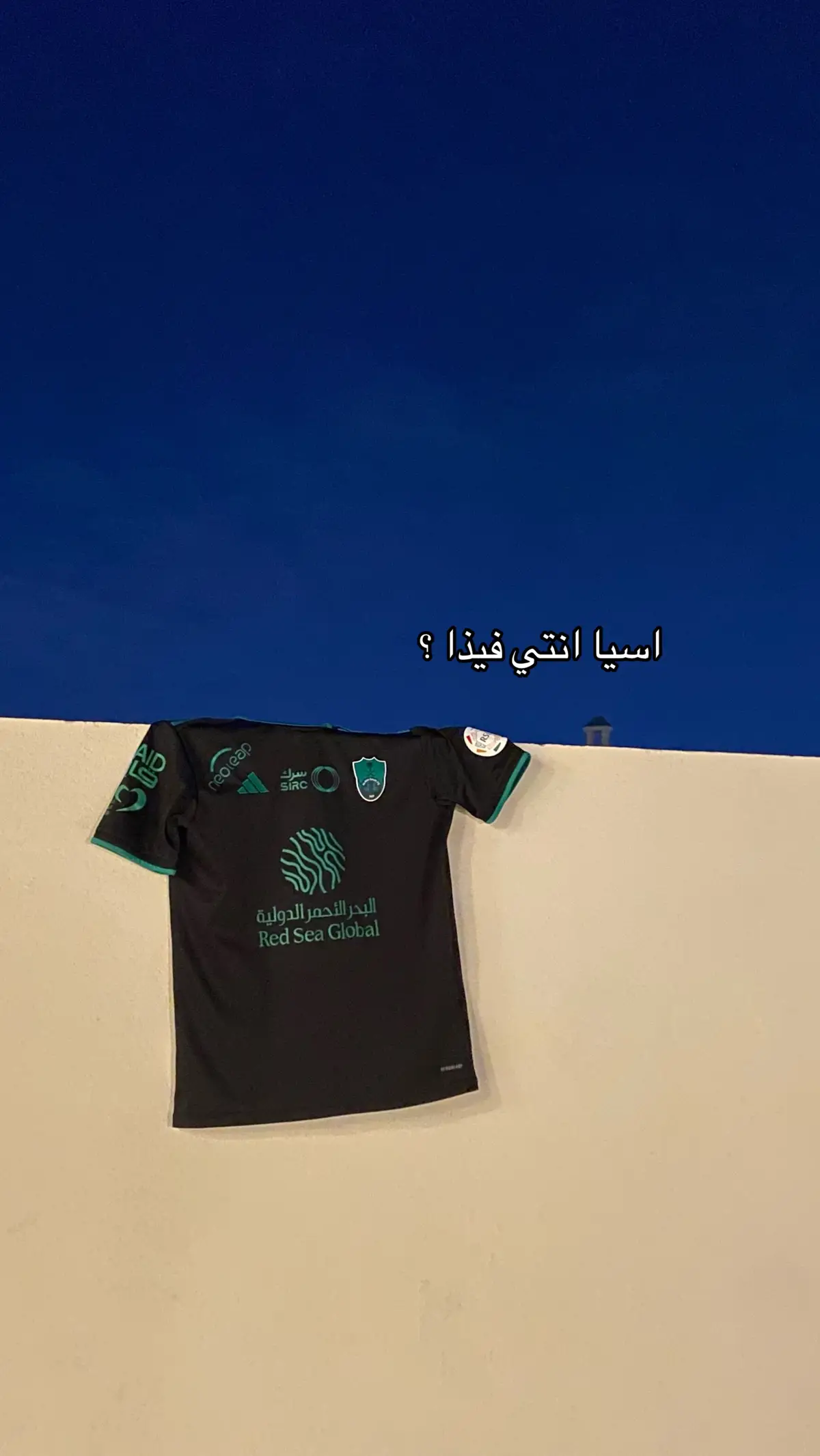 يارررب😢💚💚💚💚#الاهلى_فوق_الجميع #fypシ゚ #fyp #edit 