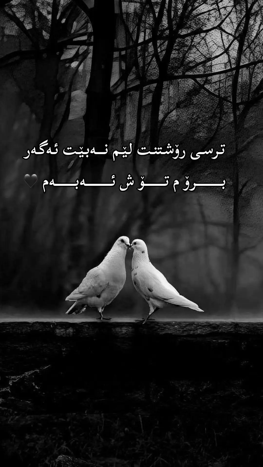 #خوشناو🖤🦅 #ئەکتیڤبن🥀🖤ـہہـ٨ــہ #وتەی_جوان 