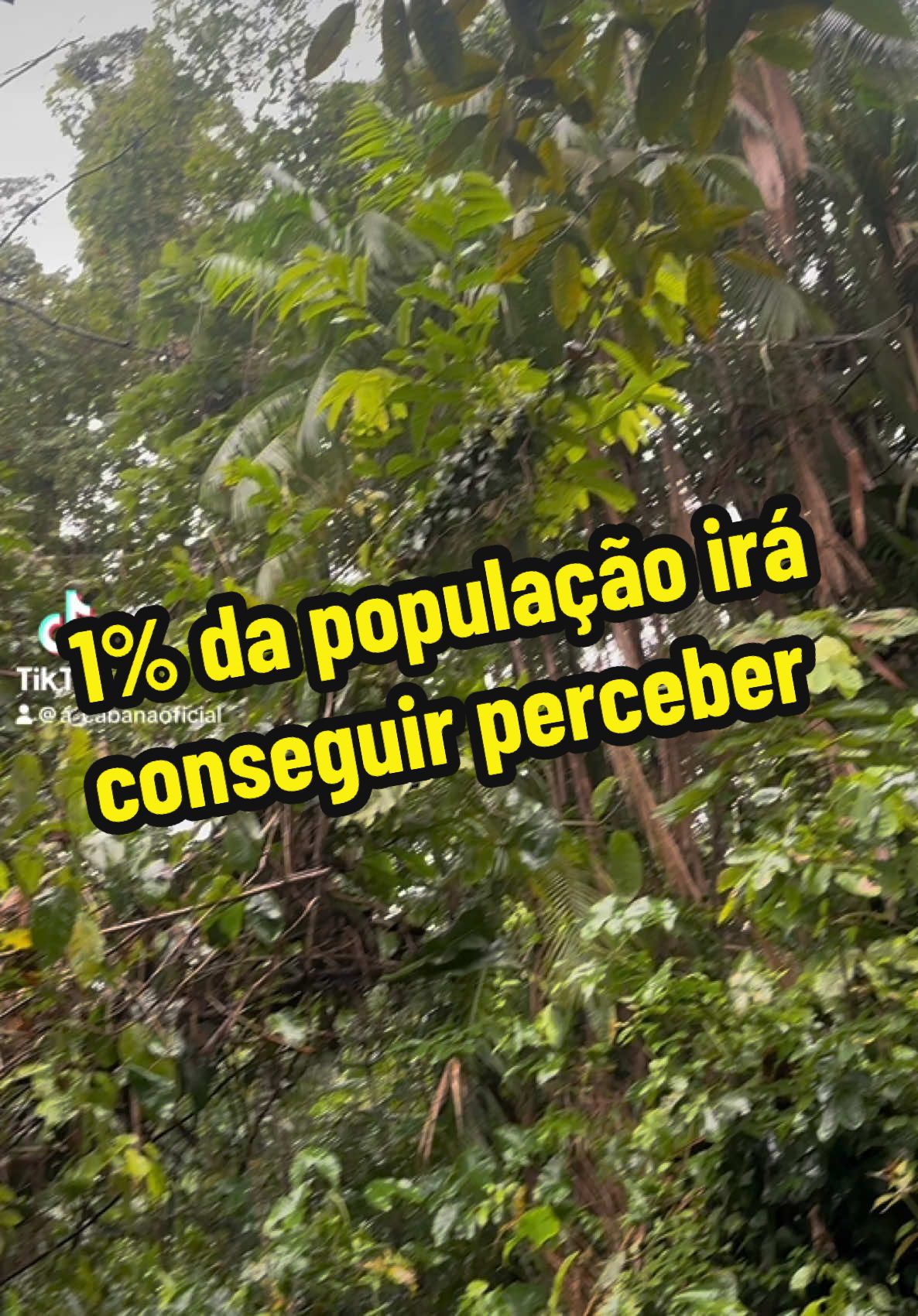 Tem que ter cérebro muito desenvolvido para conseguir perceber #viral 
