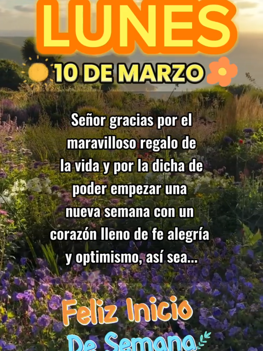 Buenos días Feliz Lunes🌹✨️🦋#frases #bonitas #parati #dios #fyp #felizdia #bendiciones #buenosdias 