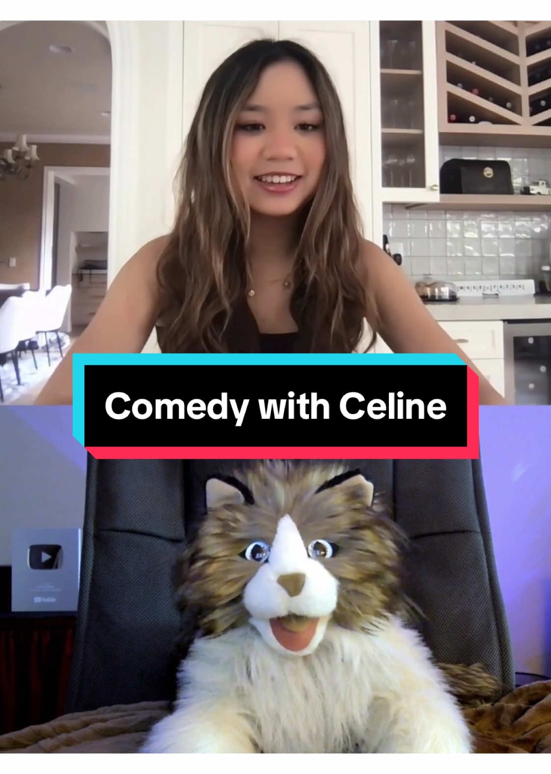 Funny conversation between Comedy Cat and @celine 