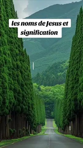 #creatorsearchinsights les noms de Jesus et signification #tiktokchretien #prieres #prier #prie #tiktokchretiens✝️❤️ 