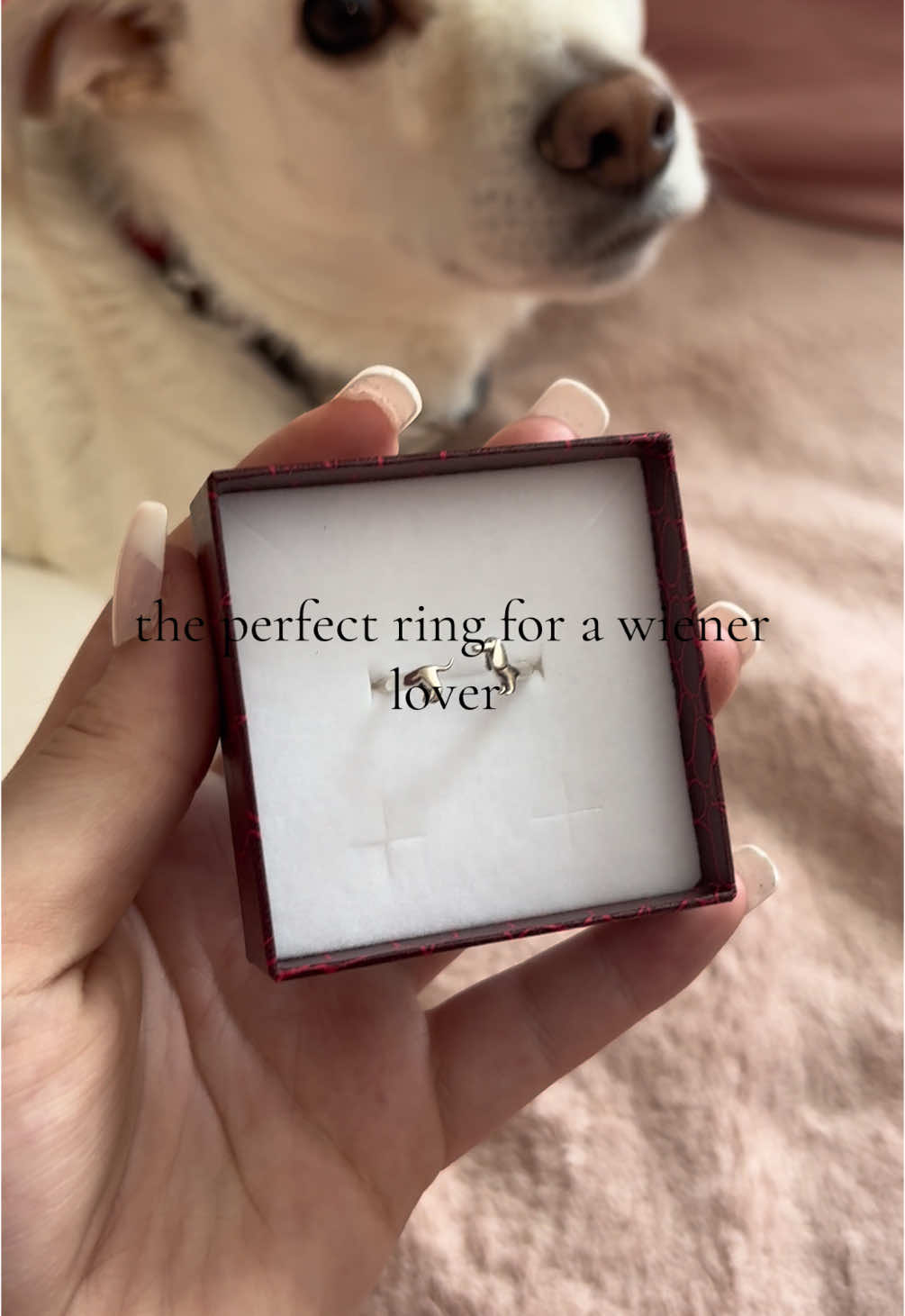 literally the perfect ring for a weiner DOG lover!! got this one for my mom. get yours.. linked below!  #fyp #foryou #viral #TikTokShop #tiktokshopfinds #weiner #weinerdog #ring #accessories #fashion #beauty #Lifestyle #romanticizeyourlife 