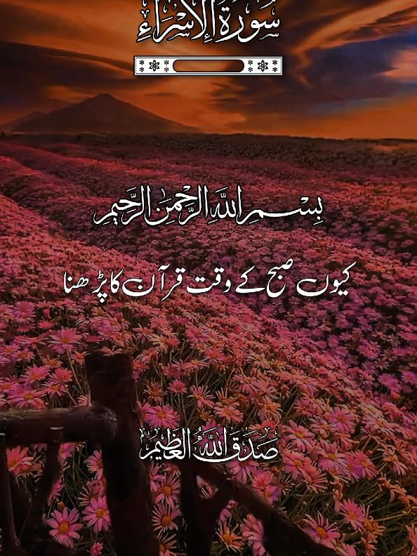 القرآن الکریم 🌹🌹❤ #quran #quranicquotes #islamicreminders #islamicreelsvideo #islamicquotes #quran #islamicquotes #quran #islamicreminder #please #quran_kareem #quranrecitation #islamicreminder #quranonline786 