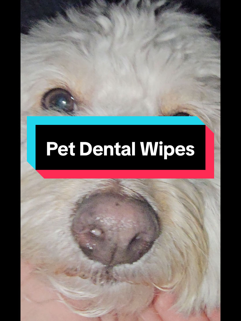 #creatorsearchinsights  #petdentalwipes  #drpaws  #preventginvitis 