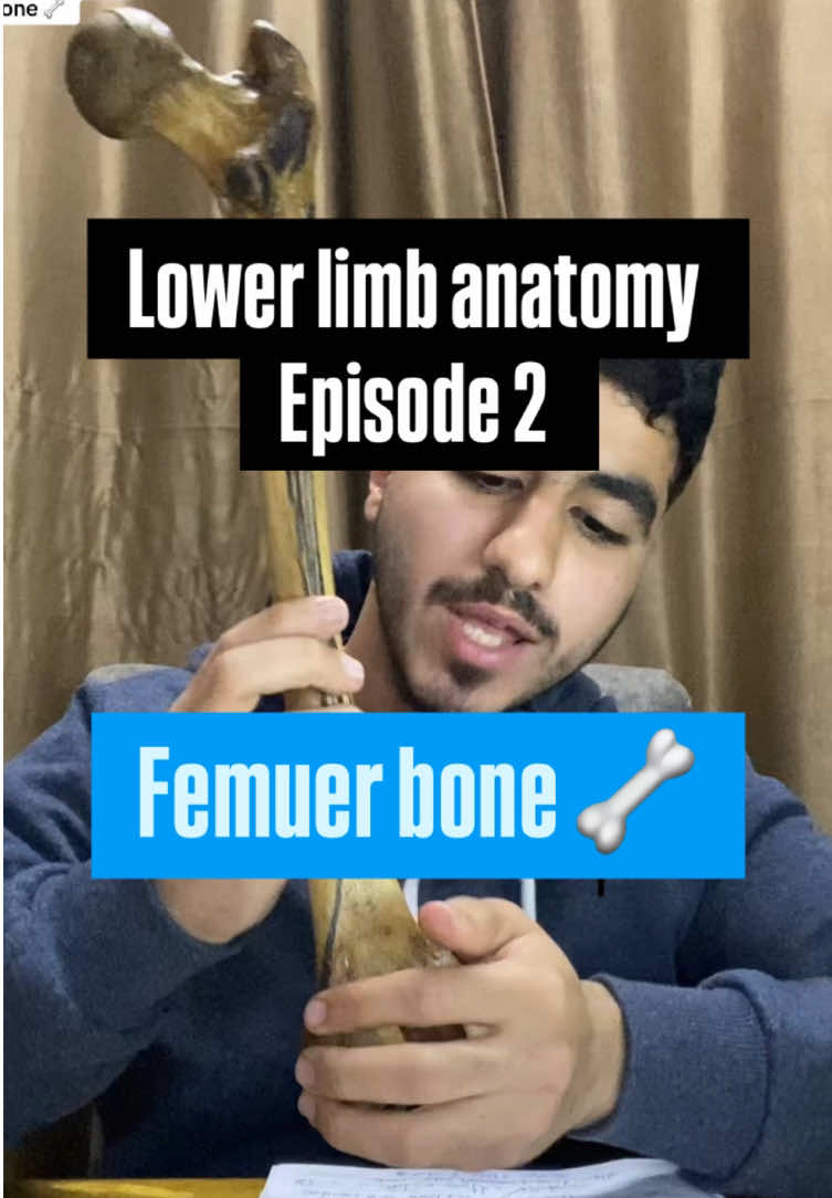 Lower limb anatomy | Episode 2  Femur bone 🦴  #foru #anatomy #lowerlimb #gym #gymmotivation #hipbone #femurbone 