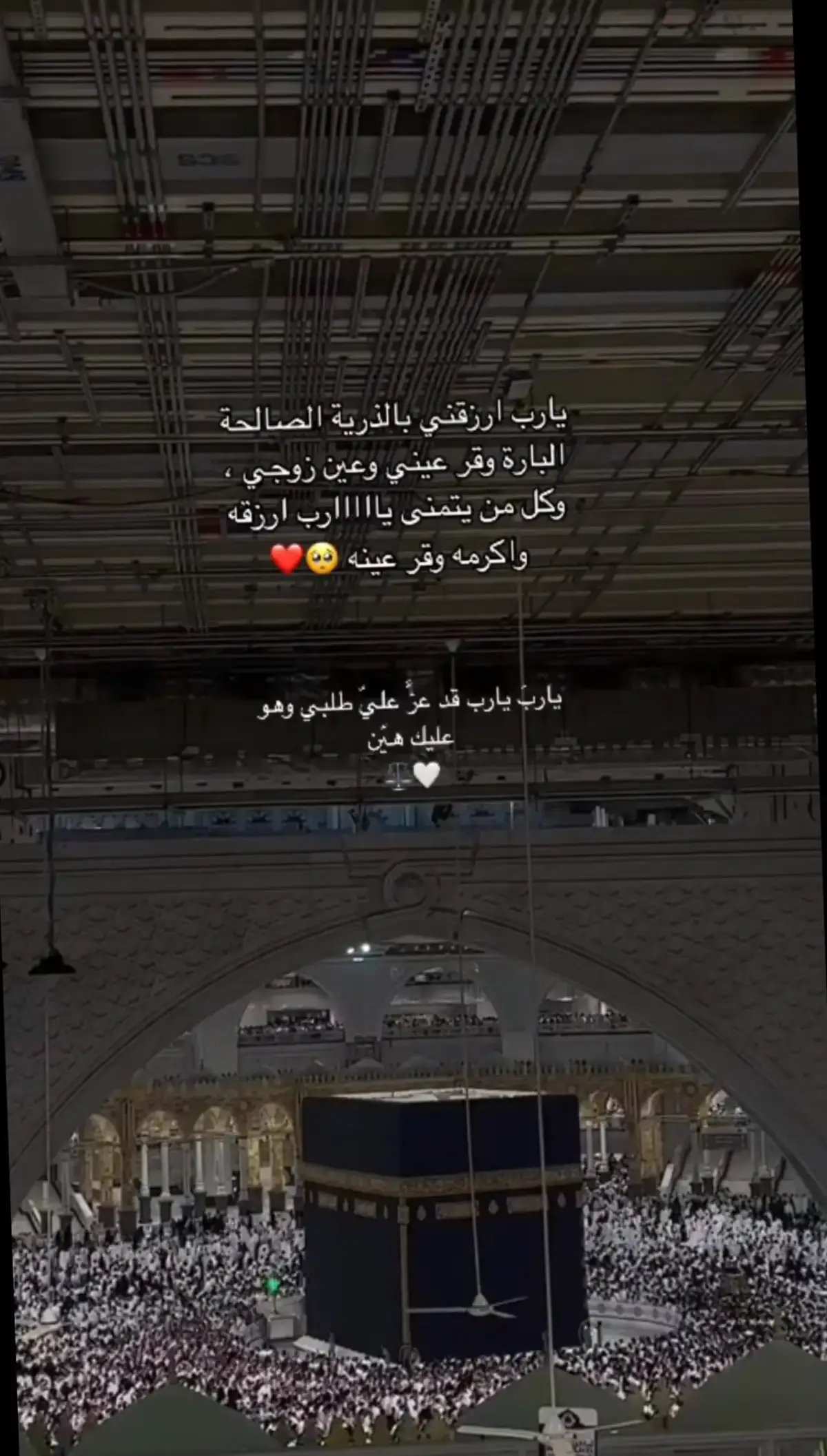 #ربي_لاتذرني_فردا_وانت_خير_الوارثين #💔 