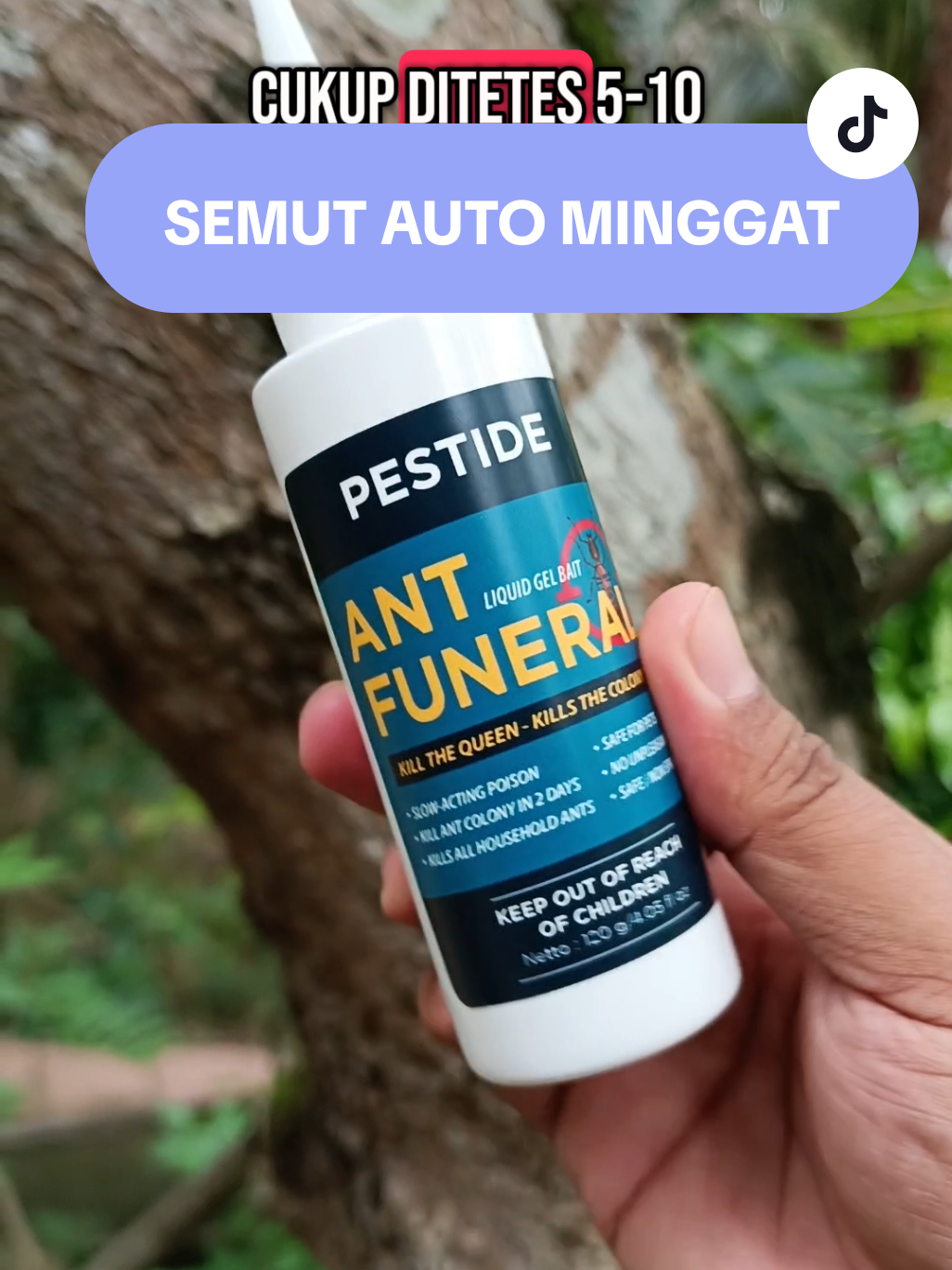 GEL PESTIDE ANT FUNERAL YANG AKAN MEMBUAT KOLONI SEMUT AUTO MINGGAT #pengusirsemut  #antfuneral  #wibgajian  #ramadhanekstraseru #CapCut 