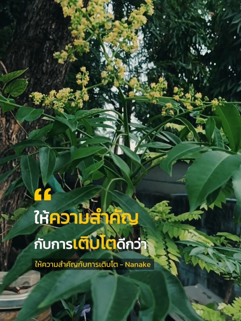 #ข้อคิดดีดี #tiktokviral #ai #AI #CapCut #เทรนด์วันนี้ #tiktok #Love #ความสุขอยู่ที่ตัวเรา #ยามเช้าที่สดใส #ความสุขอยู่ที่เราสร้าง #ความสุขอยู่ที่เราคิด #ควาทสุขอยู่รอบตัว #มะกอกน้ํา #ดอกไม้ 