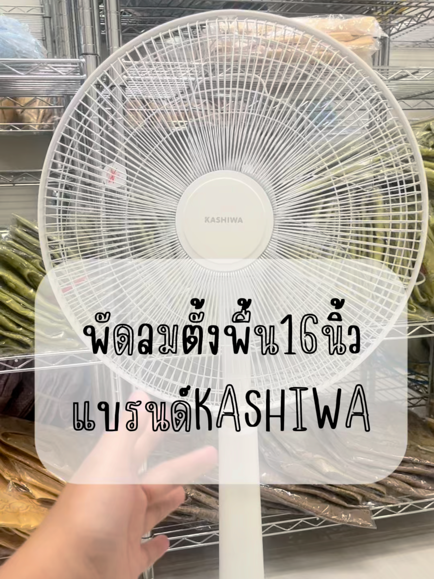 พัดลมตั้งพื้นขนาด 16 นิ้ว❄🌫#พัดลม #hatari #TTSร้านใหม่ลดแรง #TikTokShopช้อปนำเทรนด์ #สินค้าคุณภาพ #เทรนด์วันนี้tiktok #ของต้องมี #ของดีบอกต่อ #สินค้าขายดี #เครื่องใช้ไฟฟ้า 