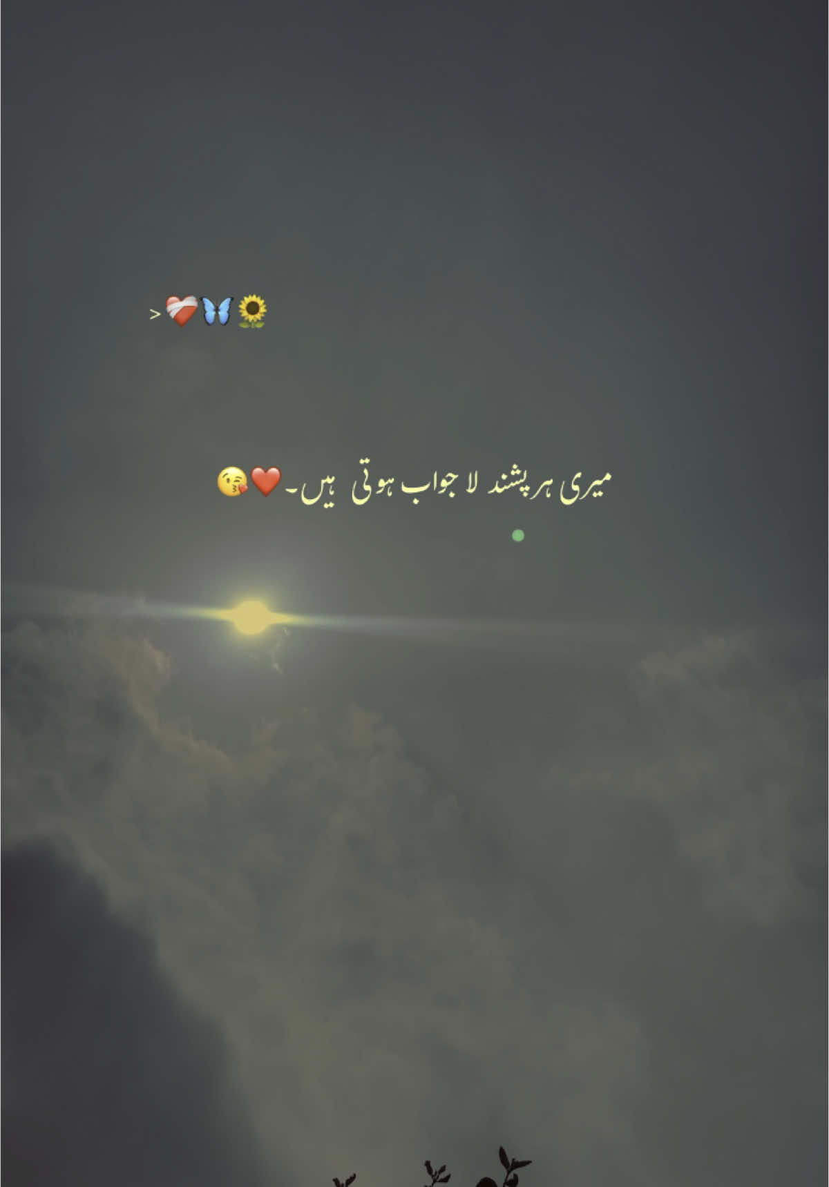 خودکو دیکھ لو❤️‍🩹🙈#hehe #vrial_video #fyp #urdupoetry #forupage #foru 