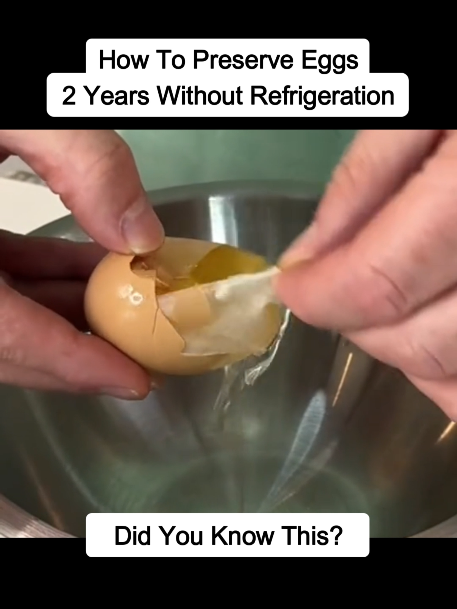 Our ancestors had a genius method to keep eggs fresh through winter—it's called water glassing! 🏡🐓 ✅ How it works: 🥚 Submerge fresh, unwashed eggs in a lime-water solution 💦 The alkaline pH prevents bacteria from growing ❄️ Store in a cool place & enjoy fresh eggs year-round! Want to learn how to do it step-by-step? 🧐 🔗 Check out the link in bio! #eggpreservation #waterglassing #homesteading #foodstorage #selfsufficiency #offgridliving #AncientWisdom #prepping #survivalfood #foodpreservation #homestead #prepper #DidYouKnow #eggs #preservation 14m