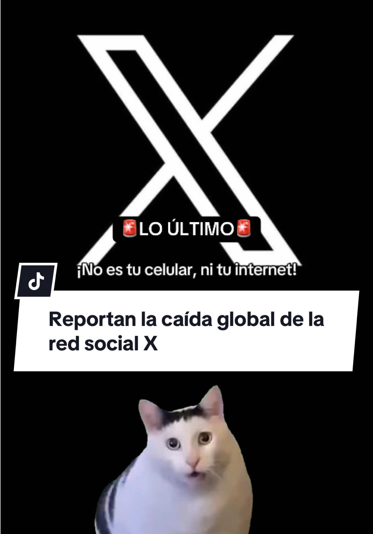 LO ÚLTIMO 🚨 Reportan la caída global de la red social X #X #Twitter #Caida #Loultimo #Noticias #TikTokNews #ElComercioPerú #Viral #tecnologia #Tendencia #elonmusk 