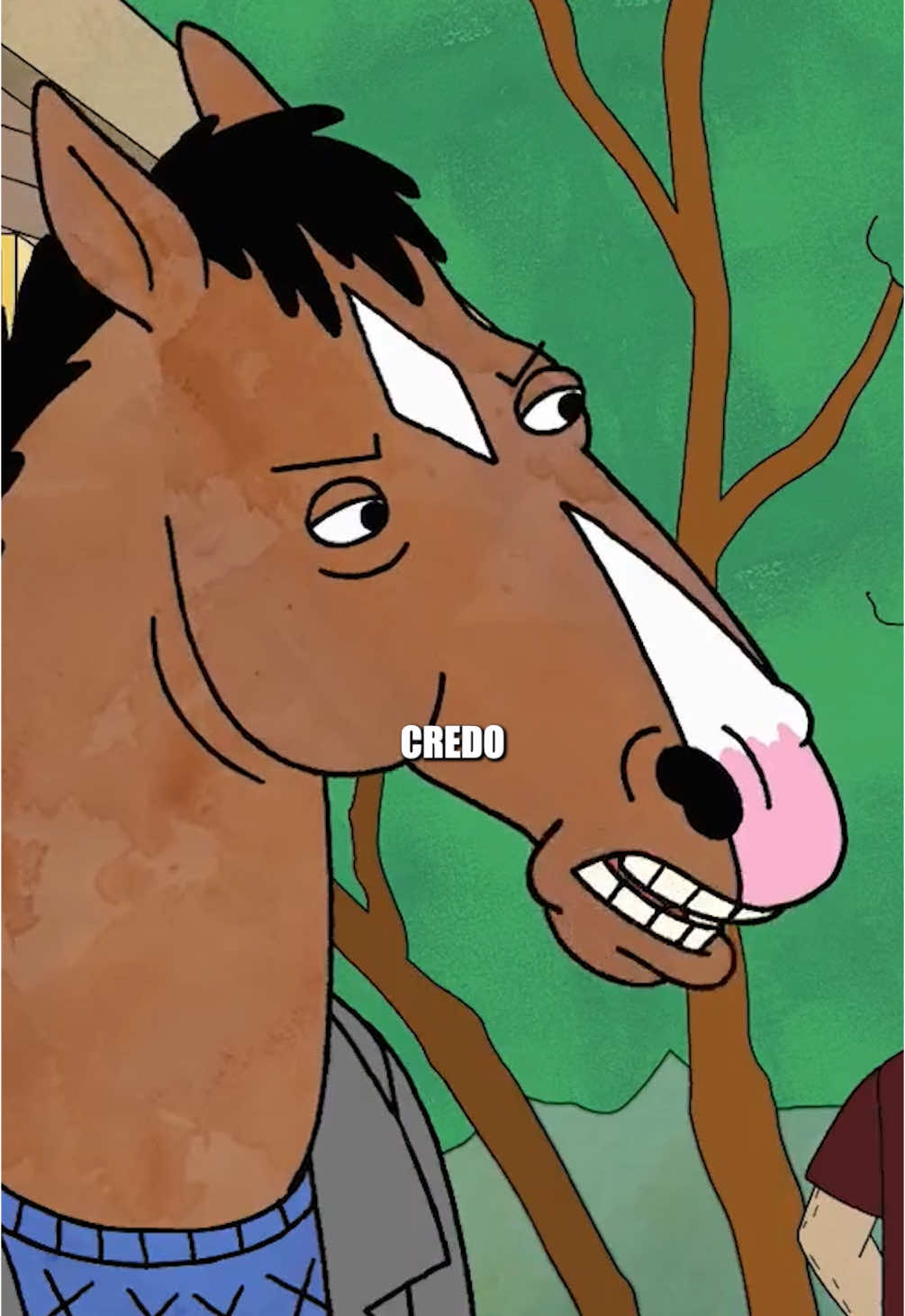 non credo proprio💀 (seguimi per altri contenuti simili❤️) #bojackhorseman #clip #ita #solounfilm #serietv #lyric #scene #divertente #bojack 