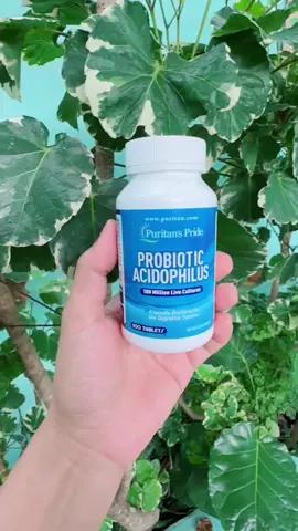 🤍 #puritanspride #probiotics #prebiotics #probioticacidophilus #legit #legit💯 #authentic #healthylifestyle #healthsupplements #immunity #health #healthy #stomachhealth #guthealth #ibs #fyp #fypage #fypviralシ #goodbacteria 