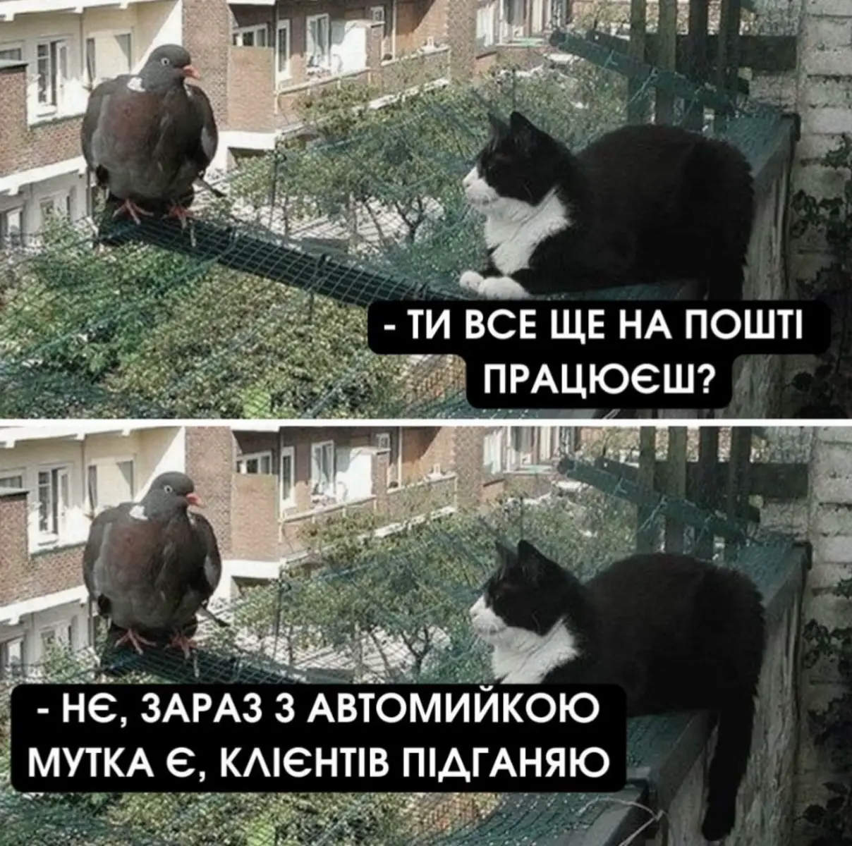 #продажавто #автовикупкиїв #приколи 