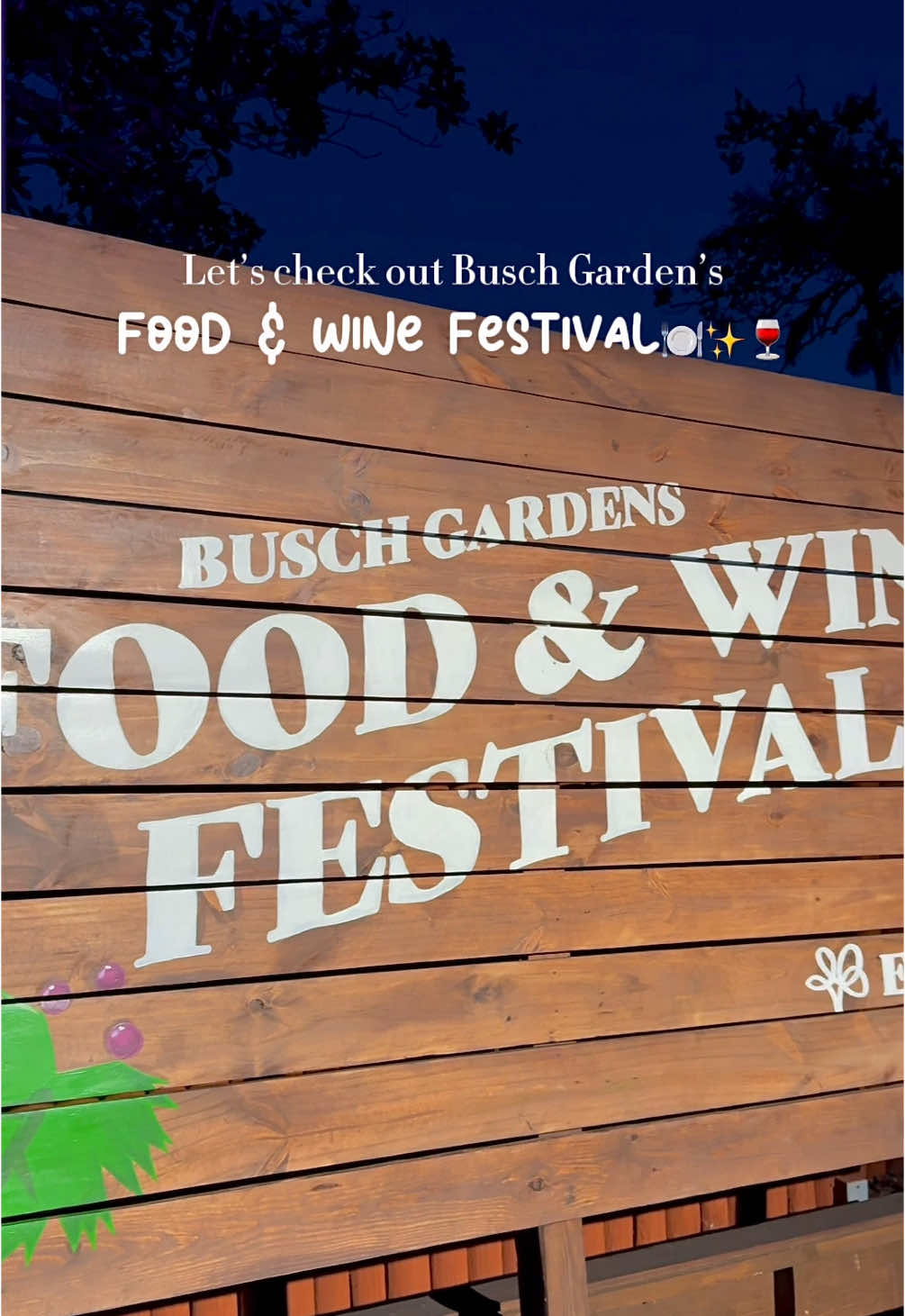 @Busch Gardens Tampa ‘s Food & Wine Festival is back!! Come with me as I got to explore the first night of the event☺️ 🍽️ Festival runs March 7th- May 18th on Fridays, Saturdays, and Sundays 🍷 Starts at 12 p.m. and runs until park close 🎢 Free with a park admission ticket 🐆 Guests can sip & savor their way through flavorful eats and mouthwatering treats each weekend of the event! 🎶 This festival features 26 chart-topping acts  For more information about the Food & Wine festival, check out this link: https://buschgardens.com/tampa/events/food-and-wine-festival/ (It is also in my bio) Thank you so much to Busch Garden’s for hosting me at the event! I had the BEST night☺️ #CorksandCoasters #buschgardens #buschgardensfoodandwinefestival #foodandwinefestival #tampa #florida #fyp #viral 