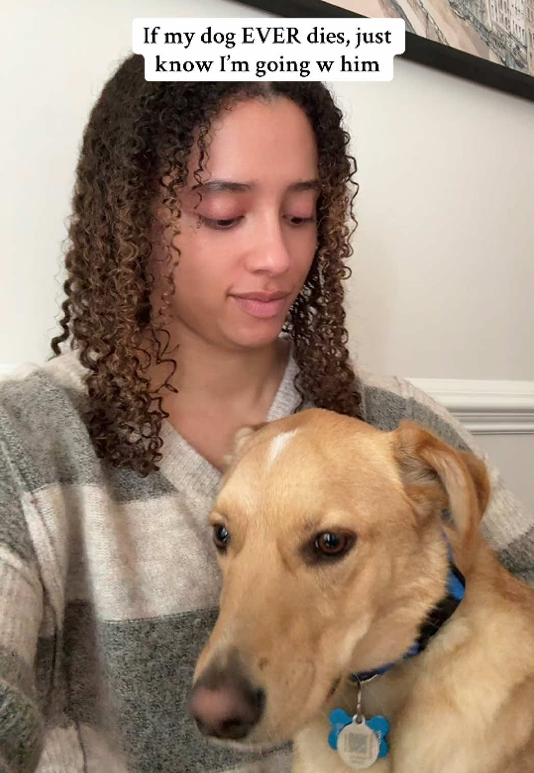 I literally can’t think about Milo leaving me because it sends me into a breakdown immediately I literally refuse #puppytiktok #puppydog 
