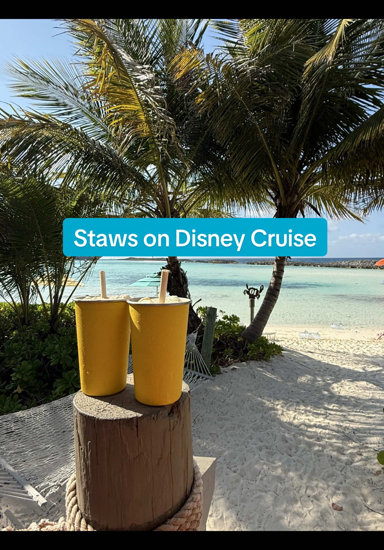 The edible straws on Disney Cruise Line are yummy but also get old fast! I’m bringing my reusable next time!