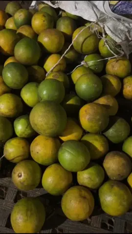 #fresh #imports #jamaica #birmingham #mrkhans #dudleyroad #localbusiness #jamaicantiktok #birminghamuk #rundontwalk #soursop #healthiswealth #starapple #orange #fruits #fyp #fyppp #viral_video #london #manchester 