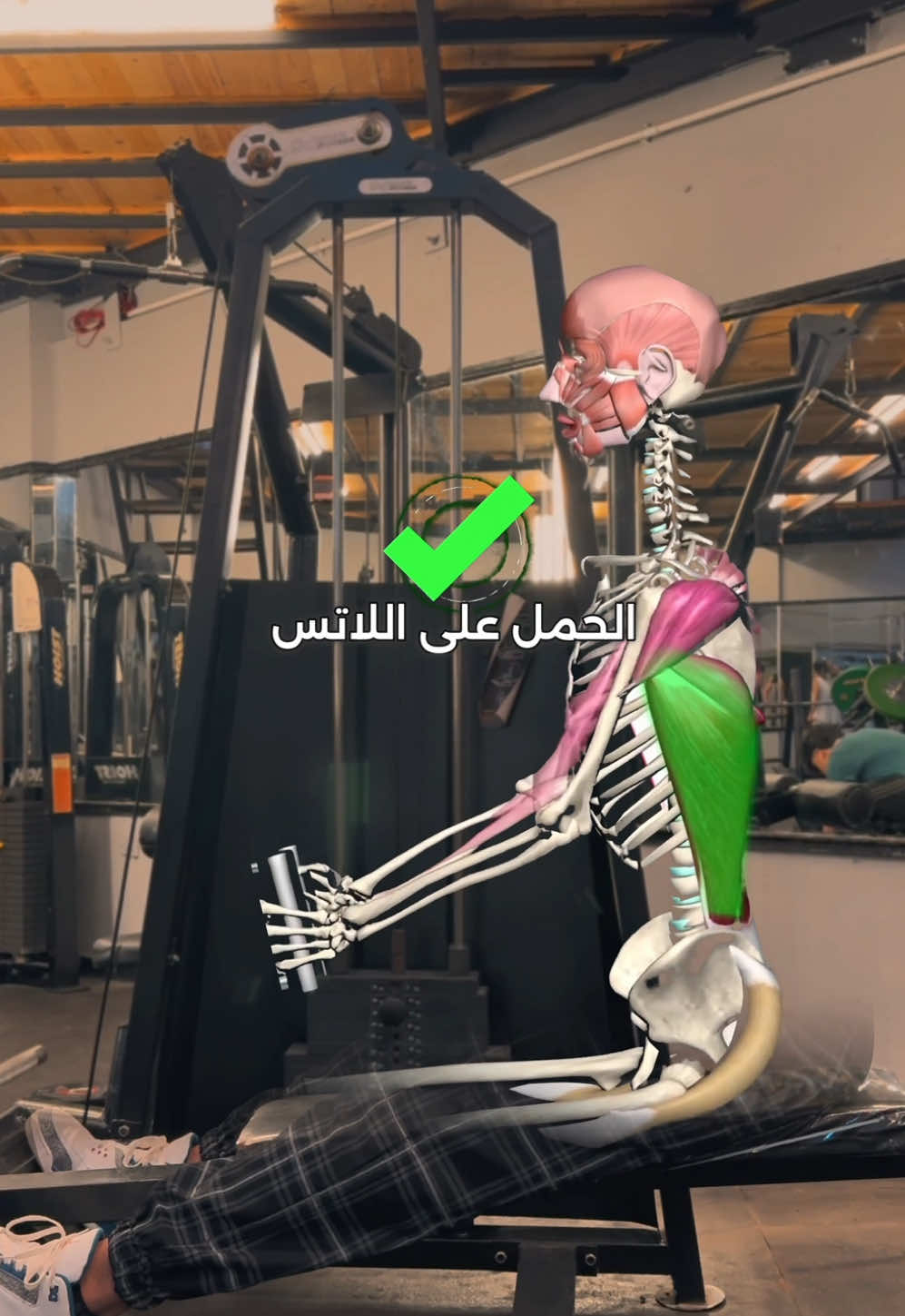 اتمرنه صح ✅ . . . . . . . #gym #fit #Fitness #workout #skinny #fat #رفيع #تخسيس #اكل #shoulder #muscle #جيم #لياقة #عضلات #تمرين #تغذية #biceps #باي #دراع #التراي  #triceps 