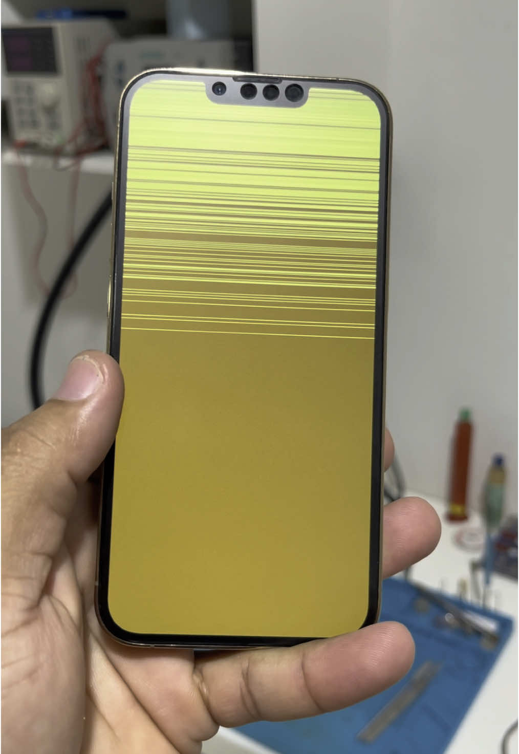 iPhone 13 Pro Max tela verde #viral #iphone13promax  #assistenciatecnica 