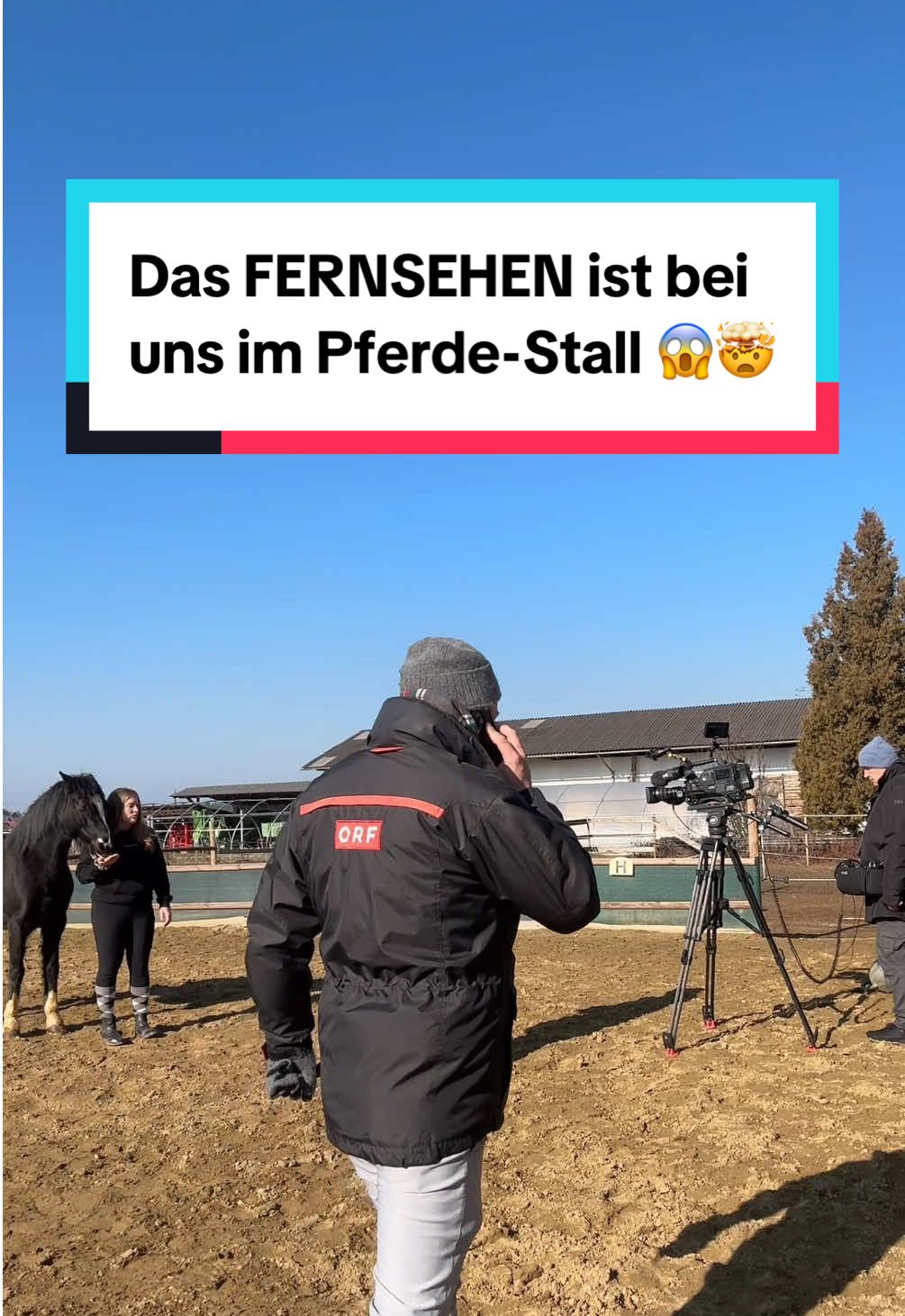 Ein Fernseh-Beitrag ÜBER UNS?! 😱🤭 ➡️ 11.03.2025, 19 Uhr - ORF 2 Die Sendung heißt Steiermark heute 🥰 #fernsehen #dreh #pferdestall #pferd #orf 