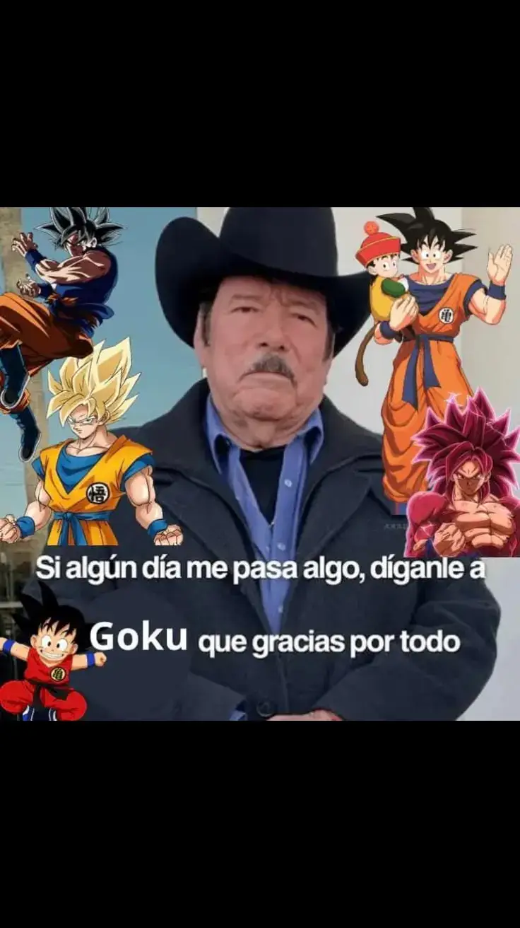 Le dicen que muchas gracias 🕊️ #fyp #goku #graciasgoku #dragonballz #dragonball #humor #humortiktok 