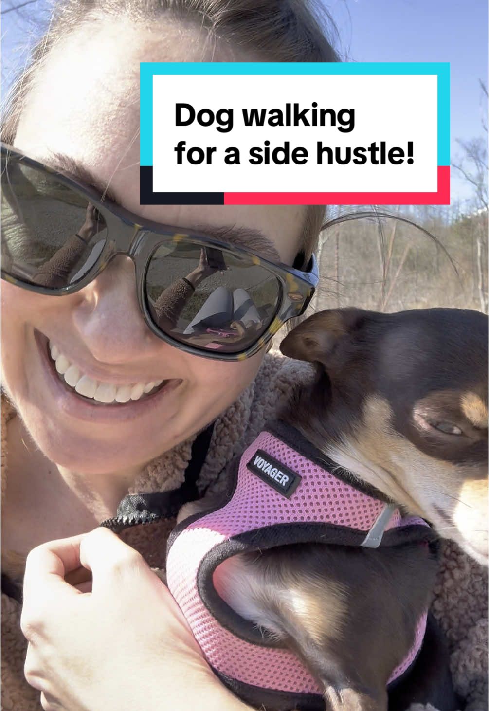 Earning extra money as a dog walker and pet sitter!  #nataliemommakingendsmeet #dogwalker #petsitter #wag #rover #sidehustle #extramoney #jobsformoms