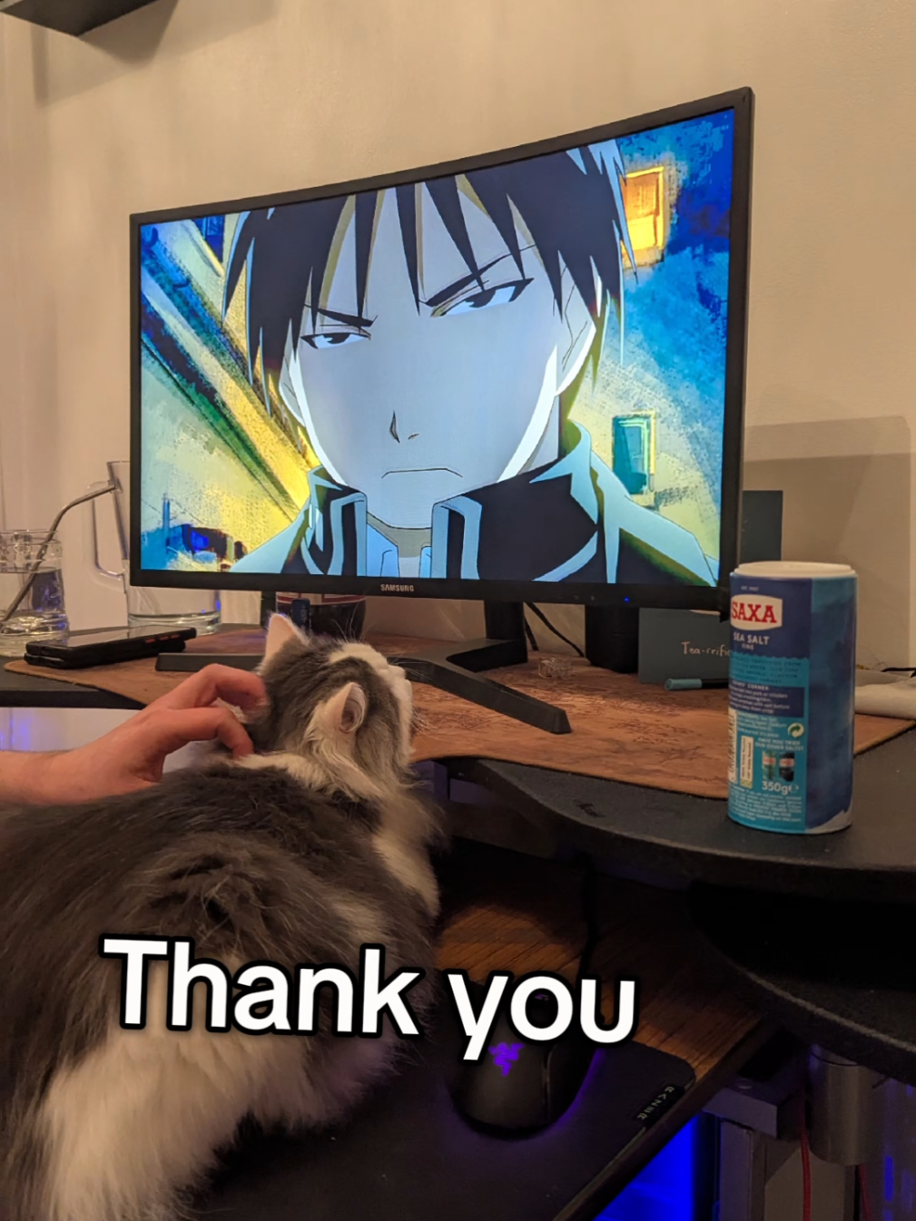 Enjoy 30 seconds of my cat being obsessed with Colonel Roy Mustang  #animefyp #fullmetalalchemist #fullmetalalchemistbrotherhood #roymustang #colonelmustang #cattok #catsoftiktok 