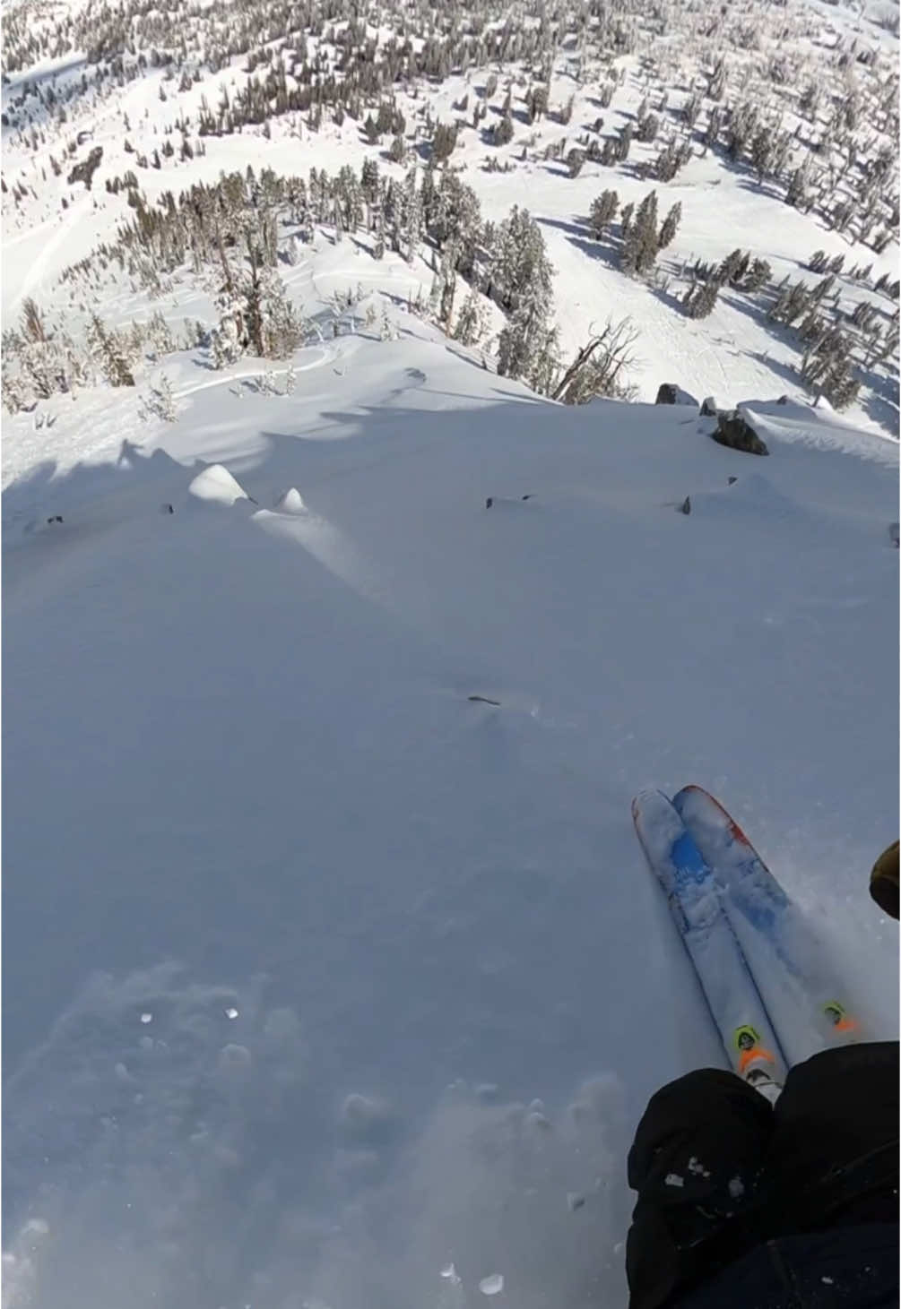 #skiing #powder #powderjunkies #mammoth #skitok 
