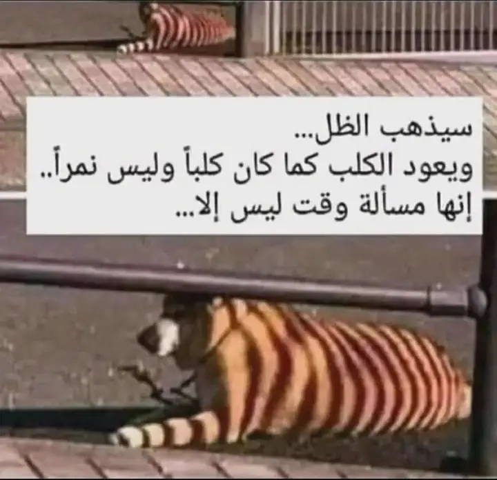 ضلمنه الكلب بس ماعليش انتو تعرفون الشخص المقصود 🙂