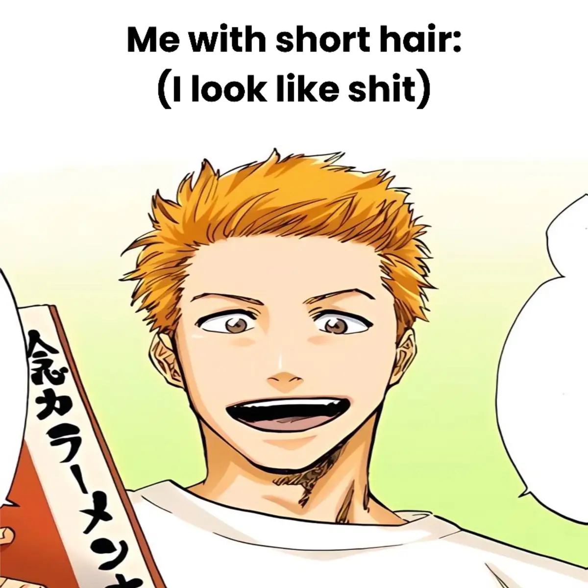 #bleach #anime #meme #manga #relatable #literallyme #ichigo #fyp 