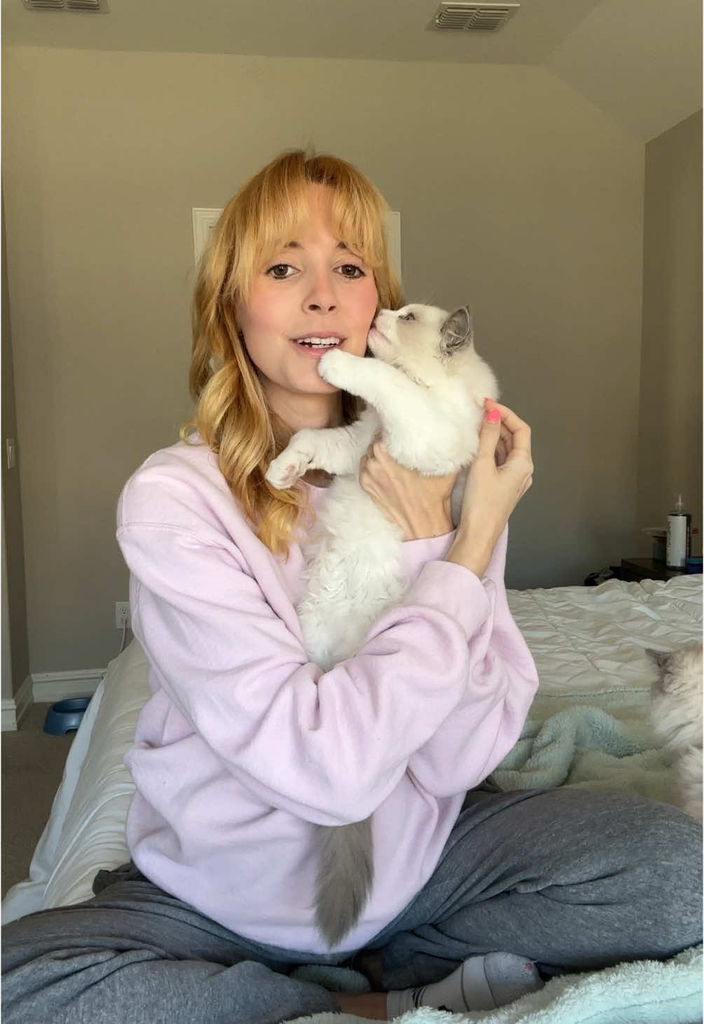 A little life and cattery update 