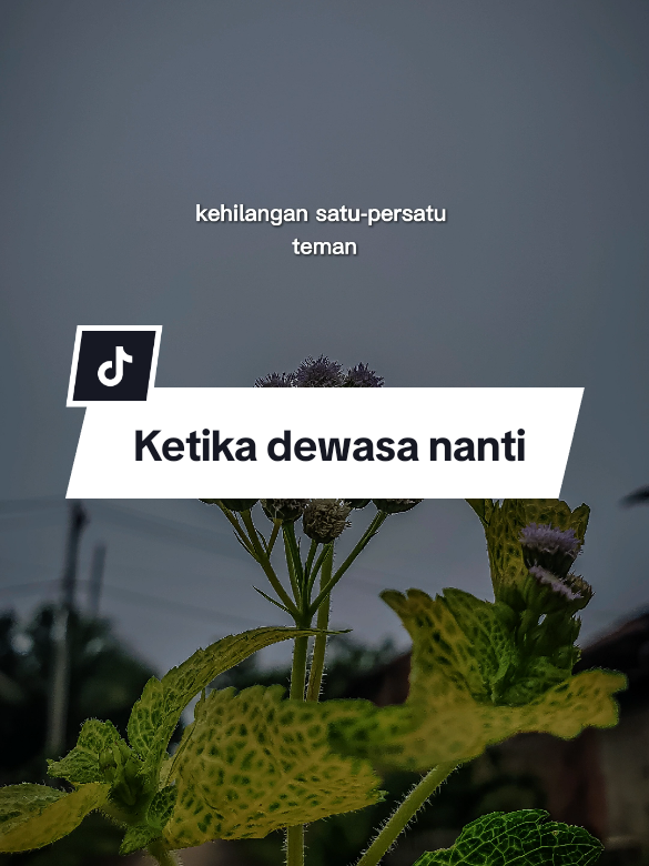 Ketika deawasa nanti #CapCut #trending #doa #viral #fyppppppppppppppppppppppp #fyp #story #status #katakata #motivasidiri #quotestory #quotes #nasehatislami #nasehat #dewasa #kehilangan 