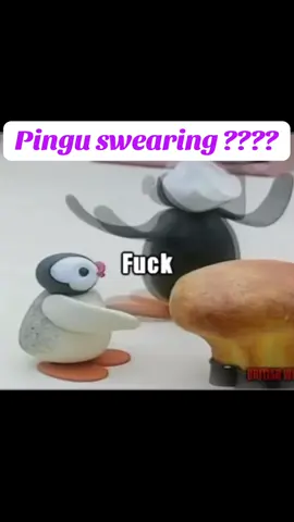 What did he sayyyyy #nootnoot #pingu #nootnoot🐧💦 #penguins 