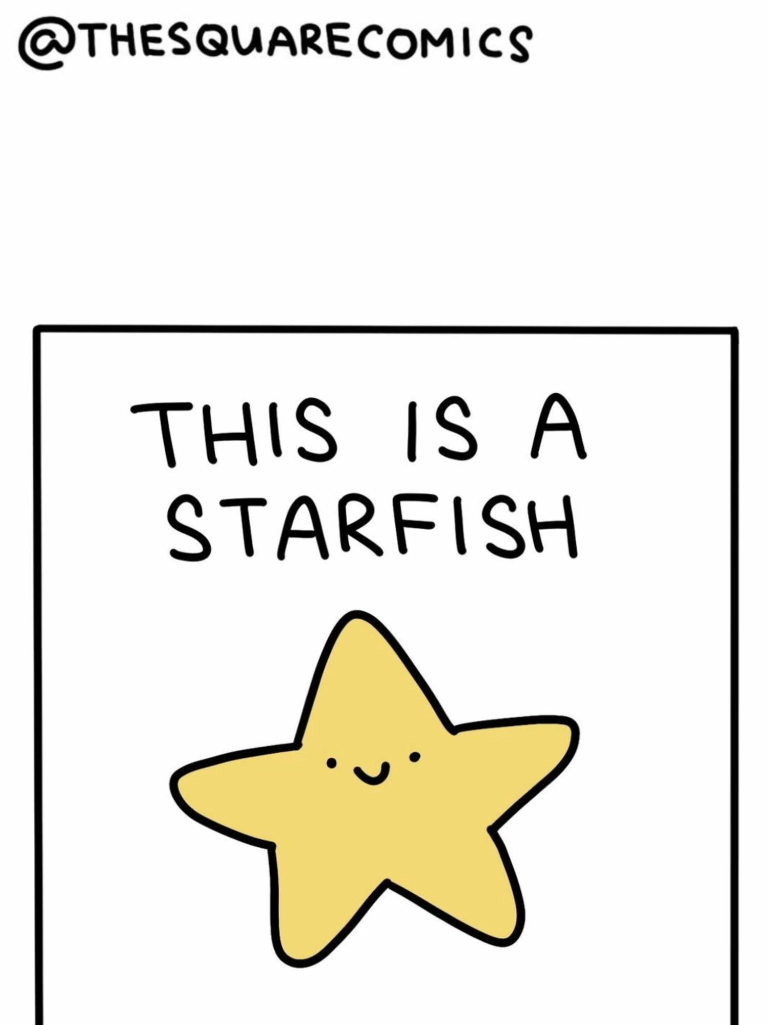 A Stressed Starfish! #fyp #meme #comedyvideo #memes #massfollowing #twitter #funnyy #humour #humor #funnymoments #artist #comic #comics #voiceover #jokes #fortnite #coralbuddies #starfish #funfacts #fish #fishing