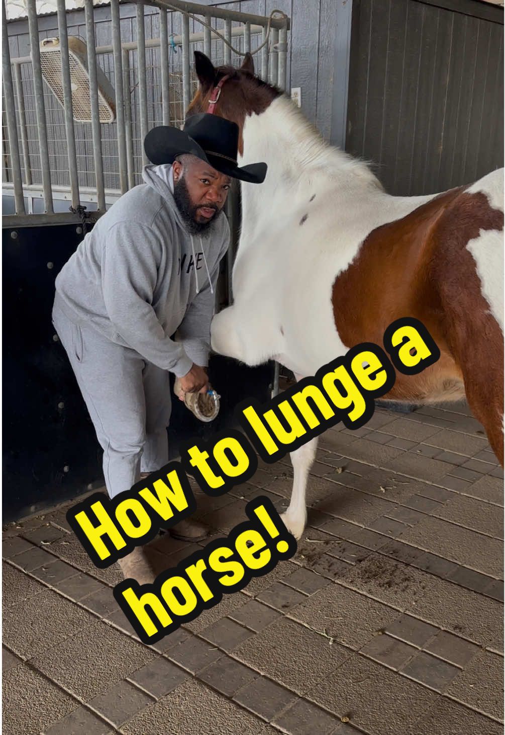 How to lunge a horse! (Praline)   #horsesoftiktok #horseman #southernman #richcowboye #countryman #BlackTikTok #fyp #equestrian #farmlife #citycowboy #blackcowboy #houstonrodeo #quarterhorse 
