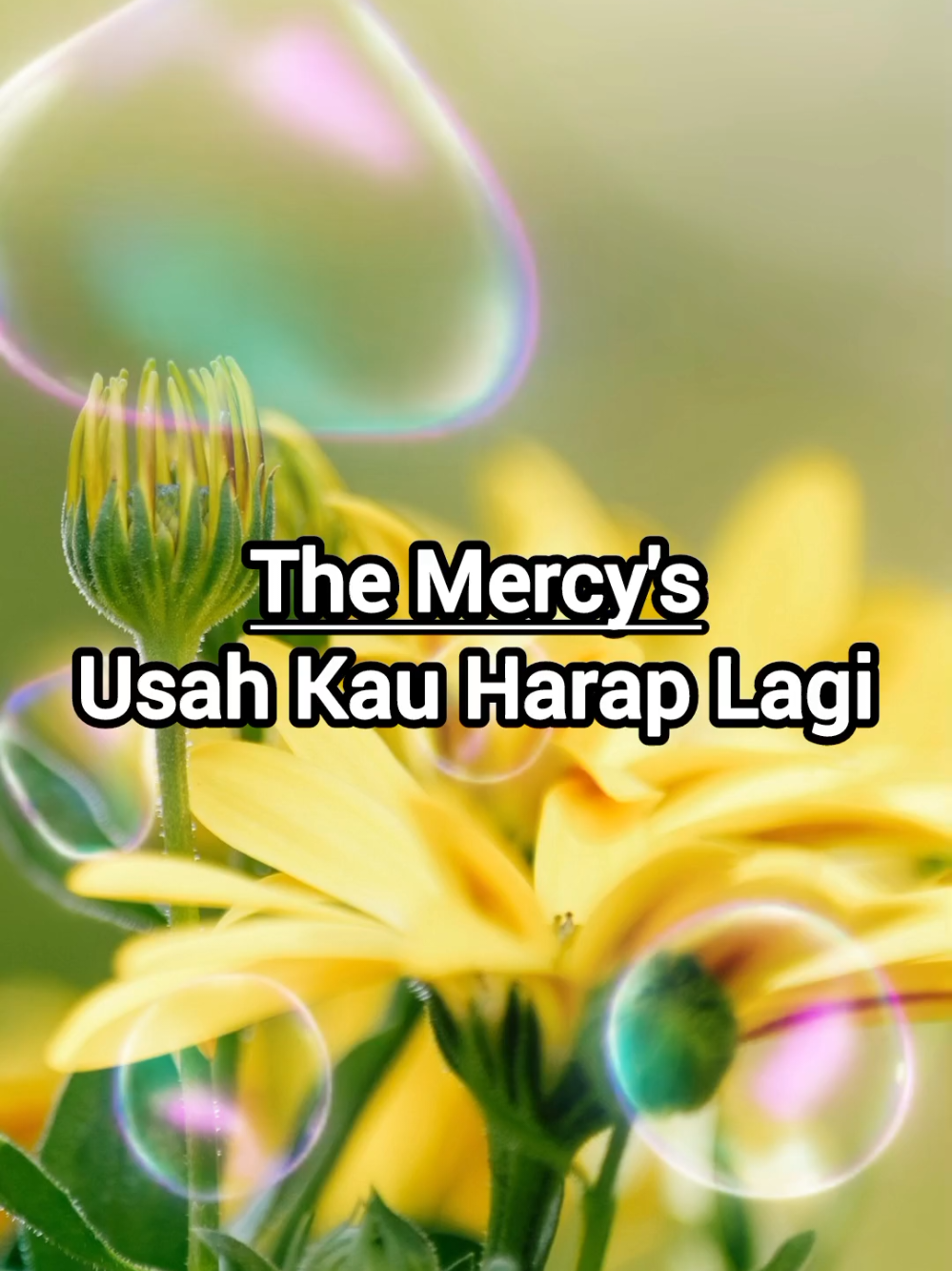 The Mercy's - Usah kau Harap Lagi #liriklagu #lagukenangan #lagunostalgia #kenangan #nostalgia @susiisman 