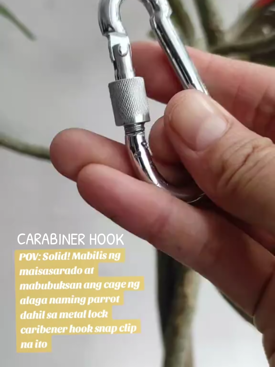 #carabinerhook #tiktokshop #lock 