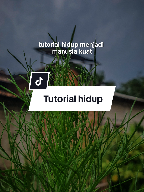 Tutorial hidup menjadi manusia kuat #CapCut #quotes #quotestory #motivasidiri #katakata #status #story #fyp #fyppppppppppppppppppppppp #viral #trending #tutorial #hidup #motivasihidup 