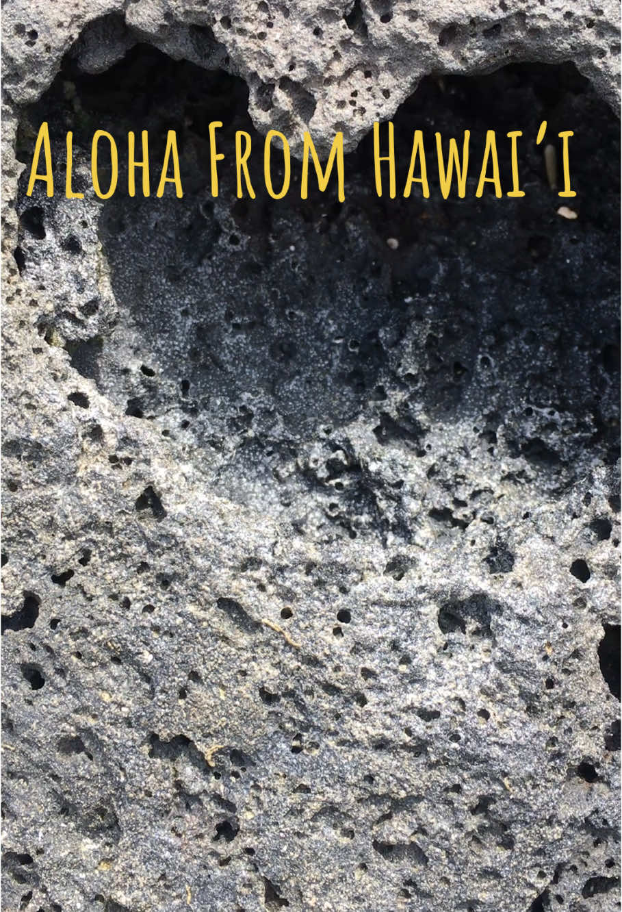 Aloha From Hawai’i #alohafromhawaii #yeahyou #fypシ #muchrepect✊🏾 #hawaiilife #hawaii #fypシ゚viral 