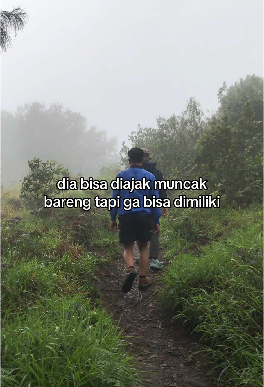 #pendakigunung #pendakiindonesia #bukitsempana2329mdpl #sembalun #fyp #foryou 