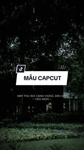 #CapCut Cành hồng tình yêu anh dành tặng em.. #capcutmaster #nhachaymoingay #xuhuong 