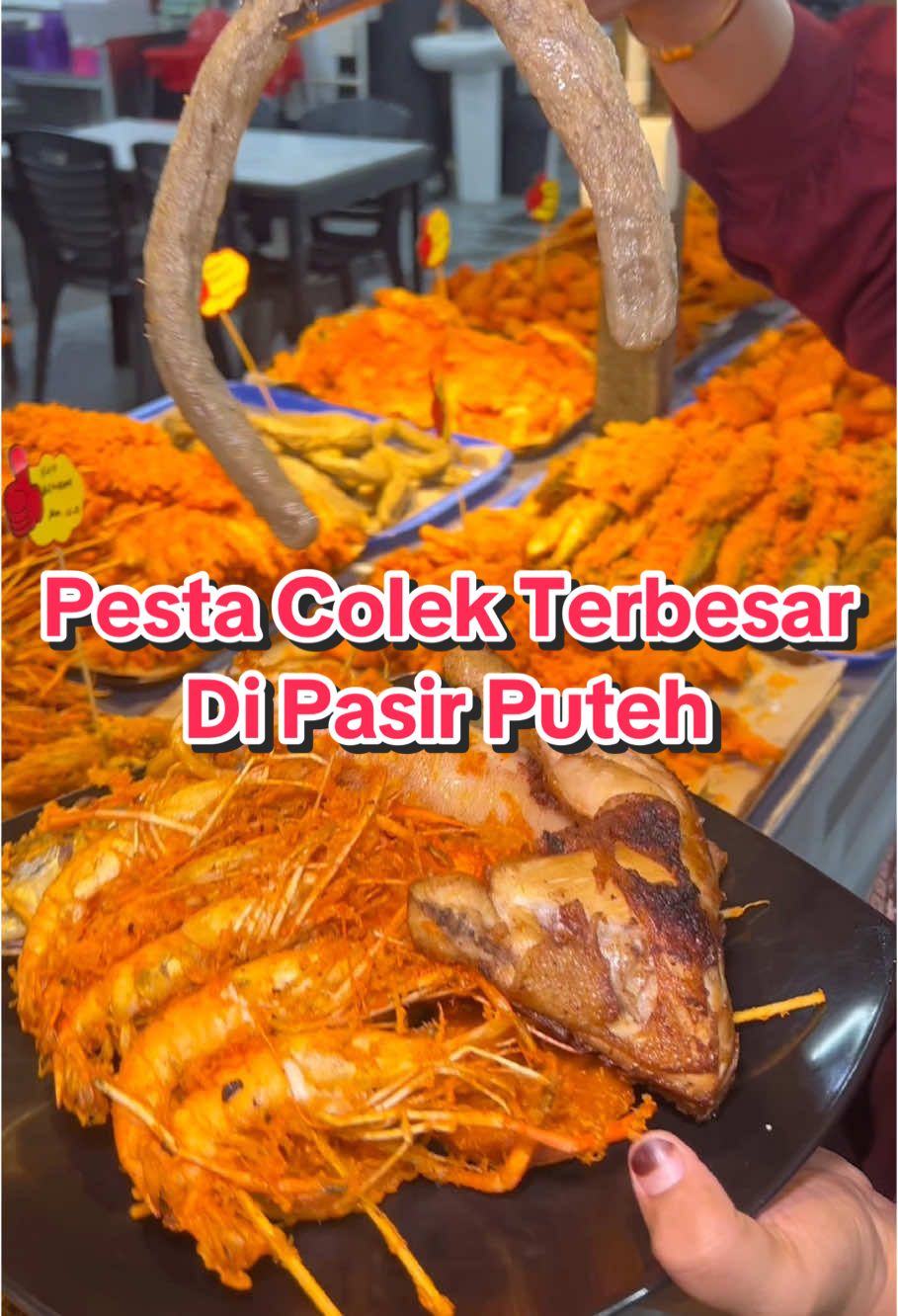 Pesta Colek Terbesar di Pasir Puteh😍‼️ @Bob Dapur Ibu  #fyp #fypシ #capcut #foodexploration #MakanLokal #mukbang #streetfood #halalfoodie #makananviral #ppakatsinggoh #colek #colekpuasa #colekperut #colekbuah #moreh #menubukapuasa #ikansiakap #colekkerang #pasirputih 