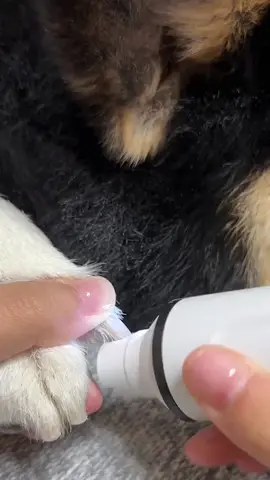 CordlessDogNailClipper, ElectricDogNailTrimmer, PetNailGrinder, PetSupplies, Dog Stuff,CatAccessories #tiktokshopmademebuyit #springsale #spotlightfinds 