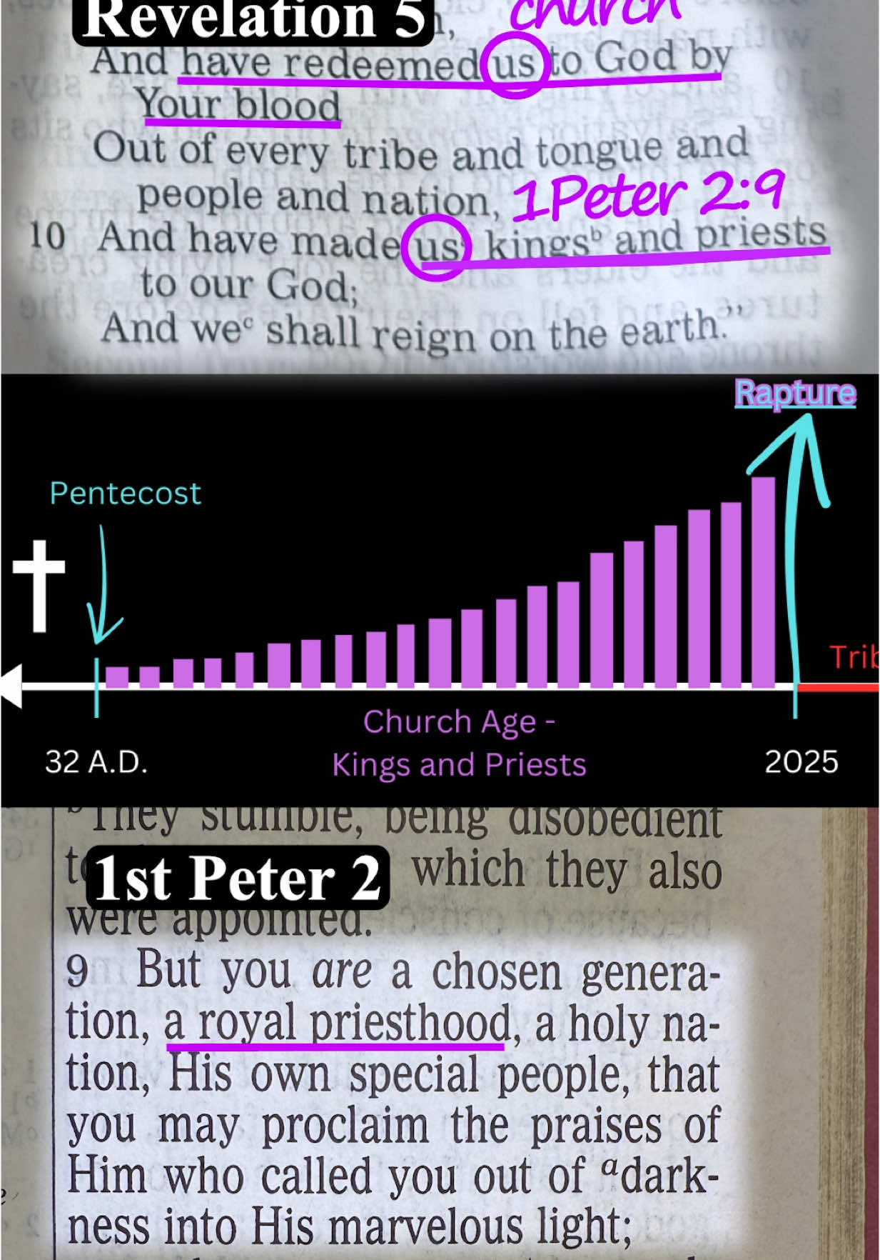 The Pre-Trib #Rapture in #Revelation The word “church” occurs 19 times in the first three chapters of Revelation but does not occur between chapters six and 19, which is all tribulation passage. That should tell us something. If he mentions the church 19 times and then suddenly he doesn't mention the church at all through the whole tribulation period, where is the church?  Revelation four, “After these things I looked, and behold a door standing open in heaven.” Literally, the perfect tense is used here, and it means a door that was open at some point in the past and remains open at the present time. When was the door open? It was open when that veil ripped from top to bottom. And God said, the way into my presence is free and clear and everyone is welcome. “... the first voice I heard was like a trumpet speaking with me, saying, ‘Come up here, and I will show you the things that must take place after this.’” Revelation 4:2, “Immediately I was in the spirit. Behold a throne set in heaven. One sat on the throne, and he who sat was like jasper and saw a stone appearance. There was a rainbow around the throne in appearance like an emerald.” He goes on and on. Just with all of this magnificent visual effect. You can read all that yourself, but what I want to get through is in as we move now over into Revelation 5:8, “... when he had taken the scroll, the four living elders and the 24 elders fell down before the lamb, each having a harp and golden bowls full of incense, which are the prayers of the saints.” You are going to see your prayers right there. You're going to know that not a single one of them was ignored. Your prayers to God are like incense.  Revelation 5:9, “And they...” — These are the 24 elders, along with the angels — “... are singing a new song saying, ‘You are worthy to take the scroll and open the seals, for You were slain and You have redeemed ...” [somebody] “... to God by Your blood.” What does it say? “...You have redeemed US...”. Who is the US? It's the church. It's the only one it can be. How do we know that? “... You have redeemed us to God by Your blood out of every tribe and tongue and people and nation, and have made...” [somebody] “... kings and priests to our God, and we shall reign on the earth.” What is the only group of people in all of human history who are royal priests? Church age believers. Peter tells us in 1st Peter 2:9. Everyone who believes in Jesus Christ, between the coming of the Holy Spirit and the rapture of the church, is immediately made a member of the royal family and a member of an eternal priesthood. That didn't happen in the Old Testament. It’s not going to happen in the tribulation. It’s not going to happen in the Kingdom. That's a designation that belongs to us.  Why is that important? Because if John is called up to heaven in Revelation 4:1, and in heaven, he sees an innumerable company of people who are thanking God for making them kings and priests, what does that tell us? The rapture of the church has taken place, and that's why from Revelation chapter six to chapter 19, we never read the word 